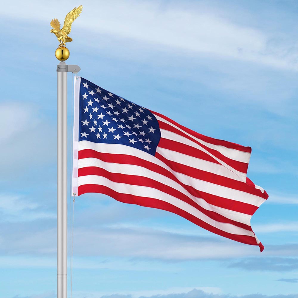 22fpr002-eagle-09.v1_w401.jpg