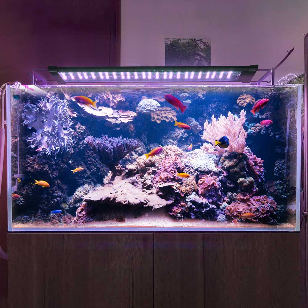 23led011-72rgb_10.jpg