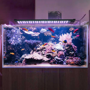 23led011-72rgb_10.jpg