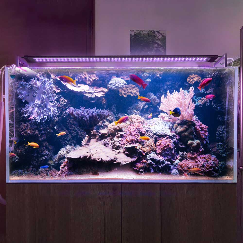 23led013-144rgb_10.jpg