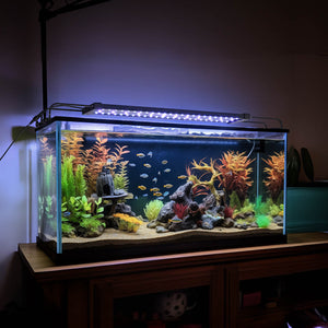 23led014-wf24-06_401b.jpg