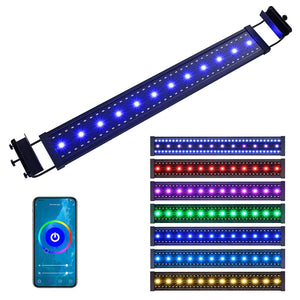 23led015-wf36-06_101b.jpg
