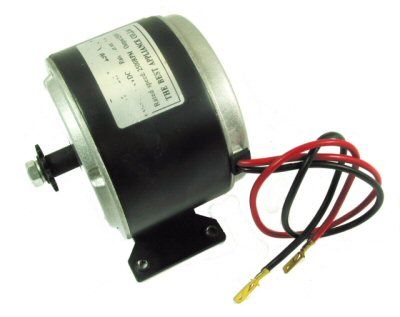 250W Electric Motor