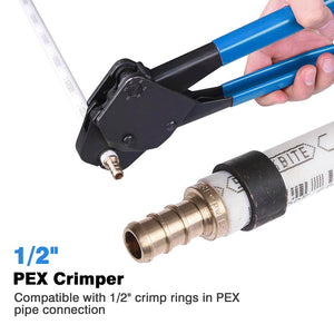25pcp001-c12-03_a201.jpg
