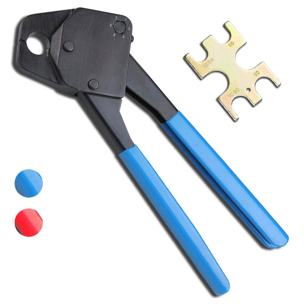 25pcp001-c12_yesv__1.jpg