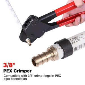 25pcp006-c38-02_a201.jpg