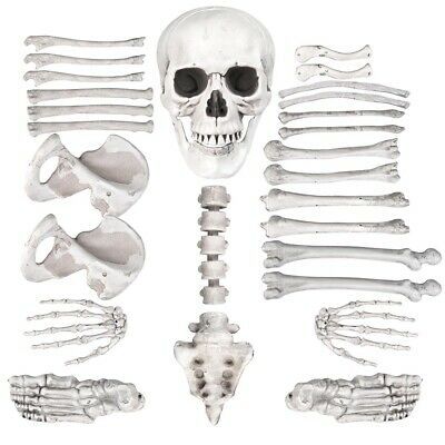 28pcs-set-bag-of-decoration-skeleton-bones-skull-prop-halloween-haunted-house-63.png