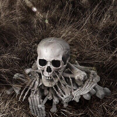 28pcs-set-bag-of-decoration-skeleton-bones-skull-prop-halloween-haunted-house-69.png