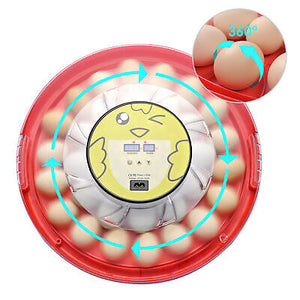 30-egg-incubator-chick-brooder-quail-poultry-digital-hatcher-temperature-control-71.png