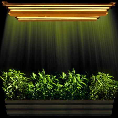 4' T5 HO Fluorescent Grow Light Fixture 6-Tube 324w 3000k