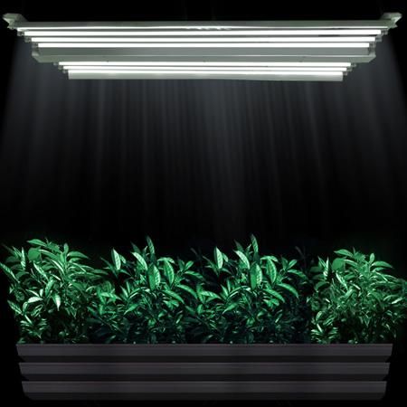 4' T5 HO Fluorescent Grow Light Fixture 8-Tube 432w 6400k