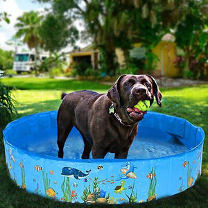 48-pet-swimming-pool-bath-tub-pvc-kids-collapsible-outdoor-water-pond-dog-cat-132.png