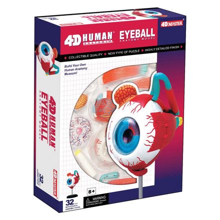 4d-anatomy-eyeball-model-71.png