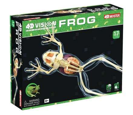 4d-full-skeleton-frog-anatomy-model-30.png
