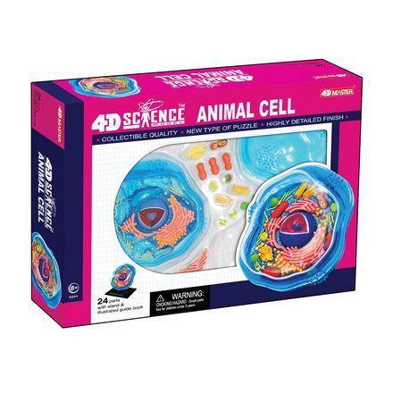 4d-science-animal-cell-model-84.png