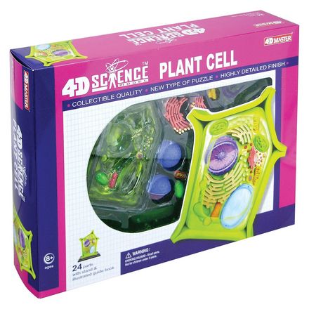 4d-science-plant-cell-model-101.png