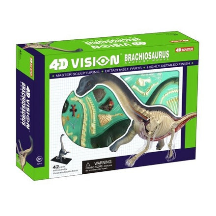 4d-vision-brachiosaurus-anatomy-model-21.png