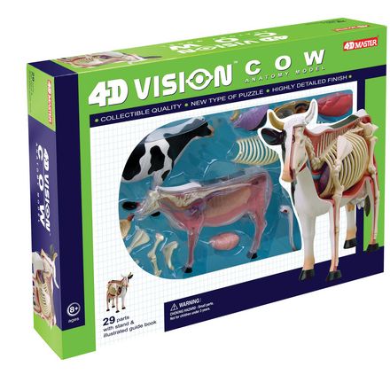 4d-vision-cow-anatomy-model-71.png