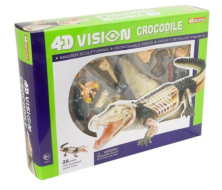 4d-vision-crocodile-anatomy-model-43.png