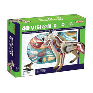 4d-vision-dog-anatomy-model-90.png