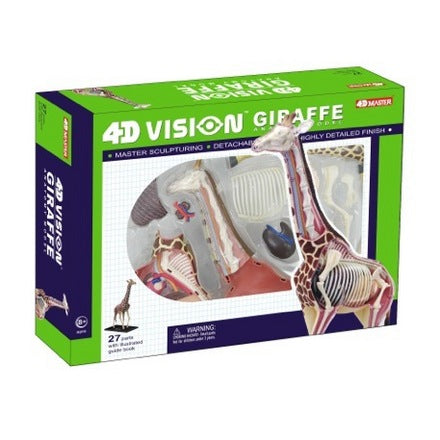 4d-vision-giraffe-anatomy-model-67.png