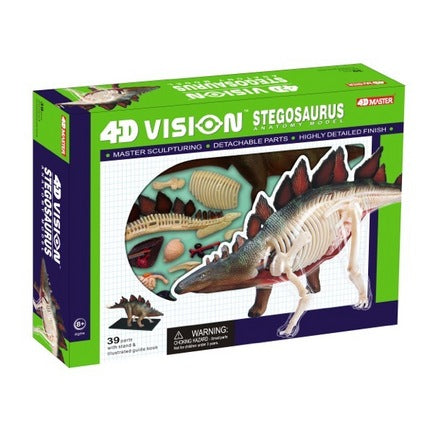4d-vision-stegosaurus-anatomy-model-32.png