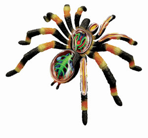 4d-vision-tarantula-spider-anatomy-model-102.png