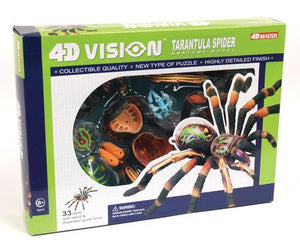 4d-vision-tarantula-spider-anatomy-model-98.png