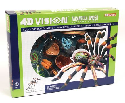 4d-vision-tarantula-spider-anatomy-model-98.png