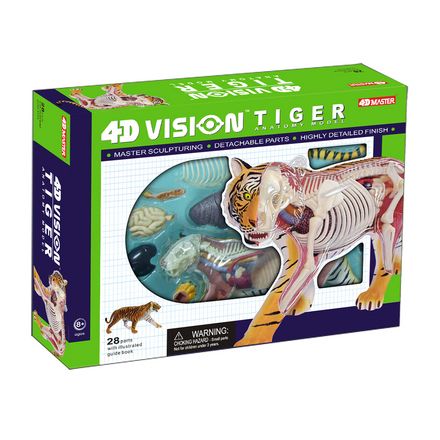 4d-vision-tiger-anatomy-46.png