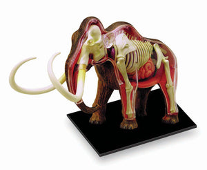 4d-vision-wolly-mammouth-anatomy-model-102.png