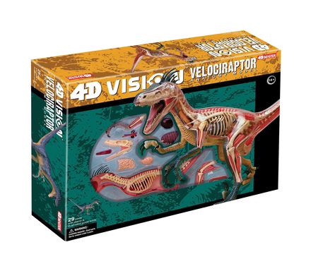 4d-vison-velciraptor-anatomy-model-62.png