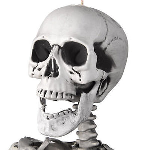5-4ft-decoration-full-body-skeleton-props-movable-joints-haunted-house-halloween-32.png