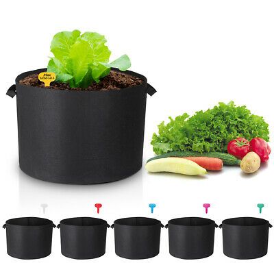 6-packs-lagarden-25-gallon-planting-bag-planter-pot-with-handle-fruit-garden-194.png
