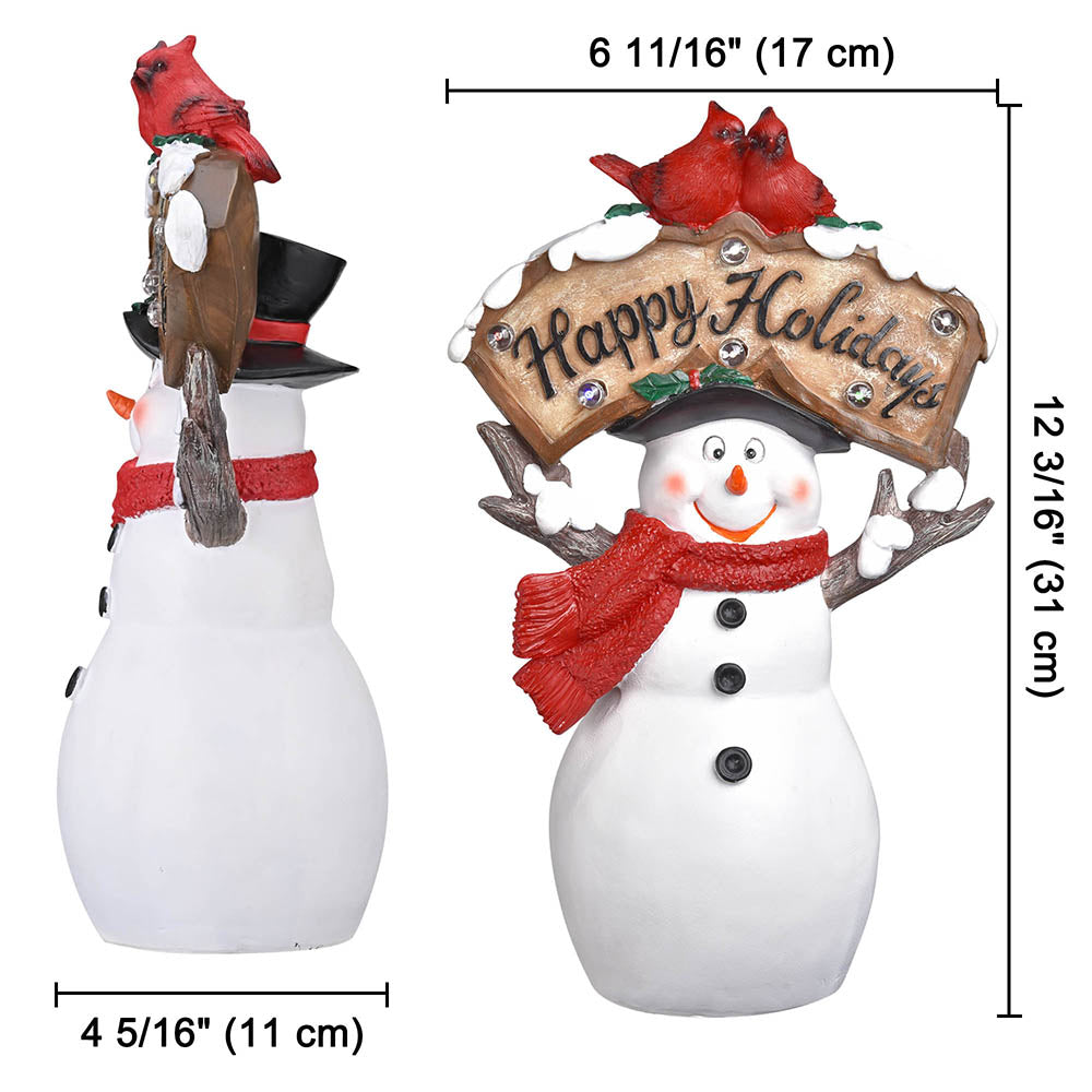 60xma010-snow-02_11a.jpg