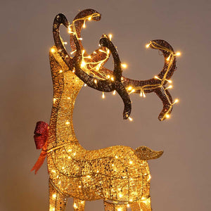 60xma025-deer1-11.v1_w210.jpg