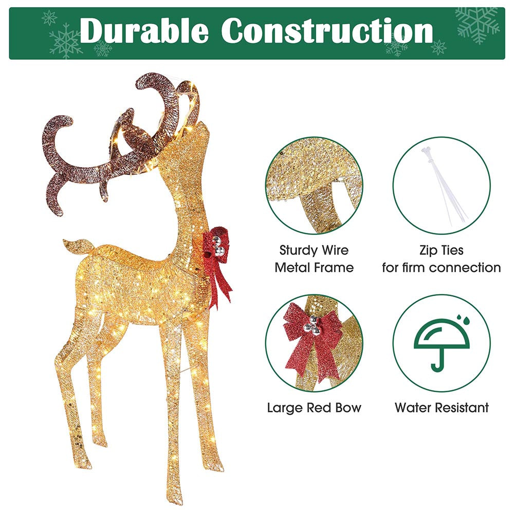 60xma025-deer1-11.v1_wa203.jpg