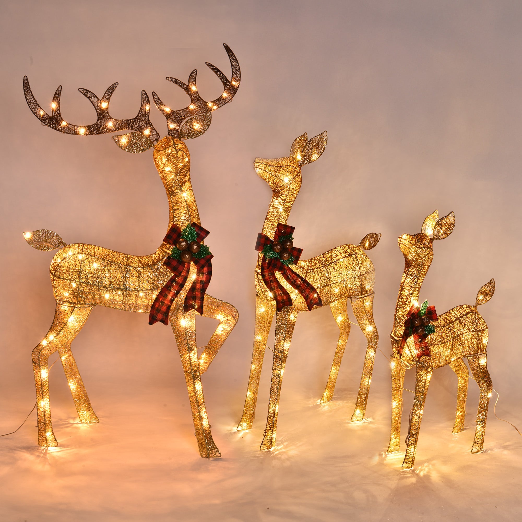 60xma025-deer3-15.v1_w107.jpg