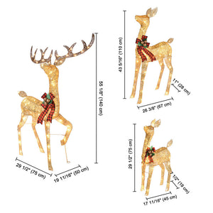 60xma025-deer3-15.v1_w301.jpg