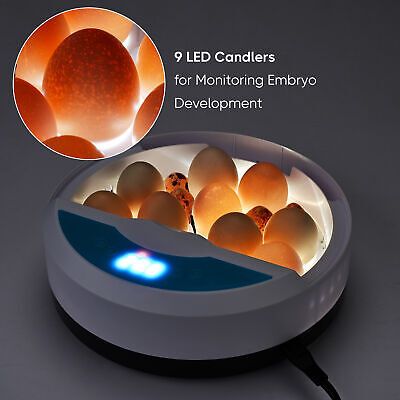 9-eggs-incubator-chick-duck-digital-hatcher-led-candler-home-school-lab-brooding-66.png