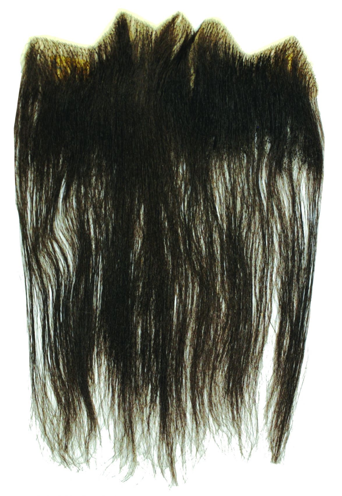 beard-full-dark-brown-52.png