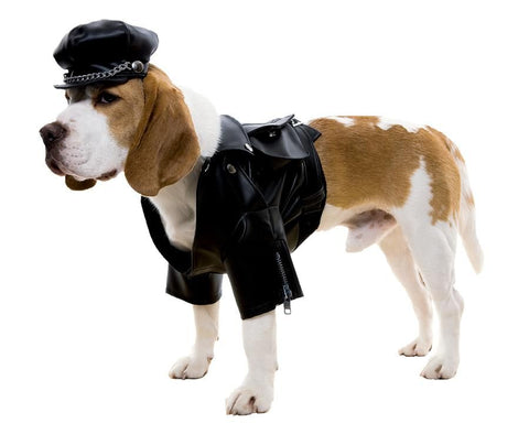 Biker Dog Dog Costume Large