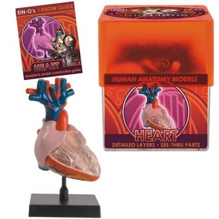 biosigns-heart-24.png