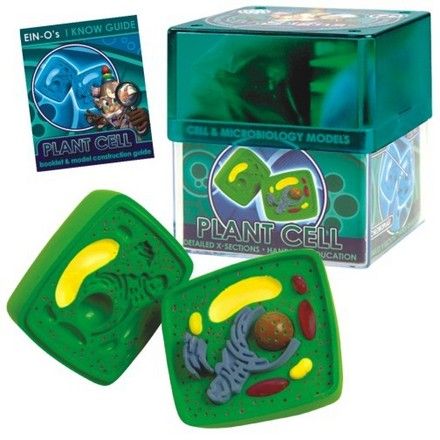 biosigns-plant-cell-24.png