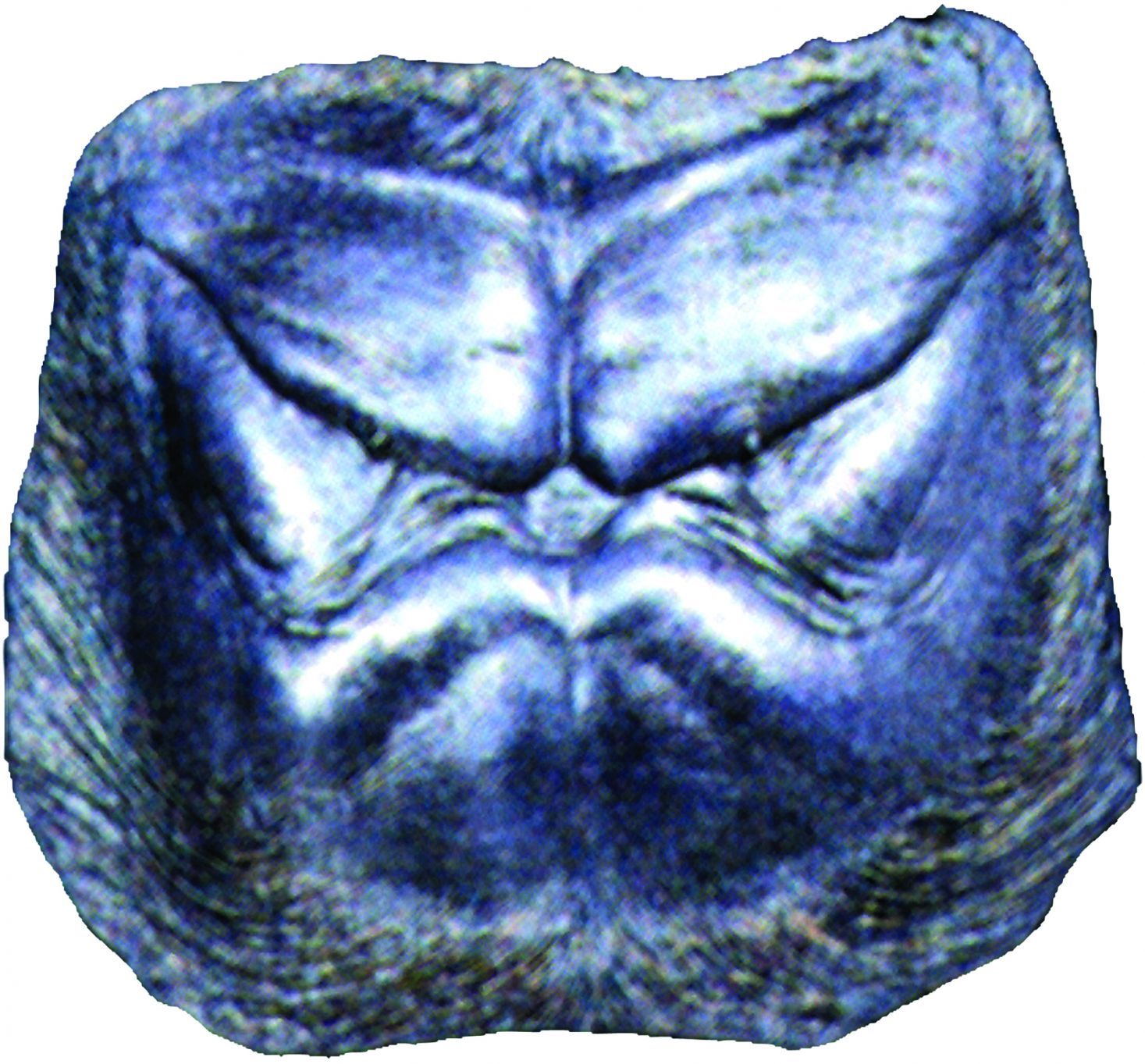 bongo-chest-52.png