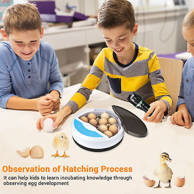 bright-led-egg-candler-tester-incubator-chicken-poultry-outdoor-camping-lamp-5w-67.png