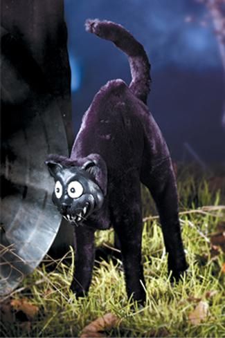 cat-black-15-inch-35.png