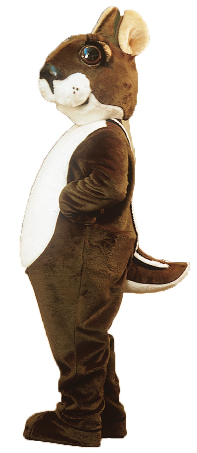 chipmunk-as-pictured-42.png