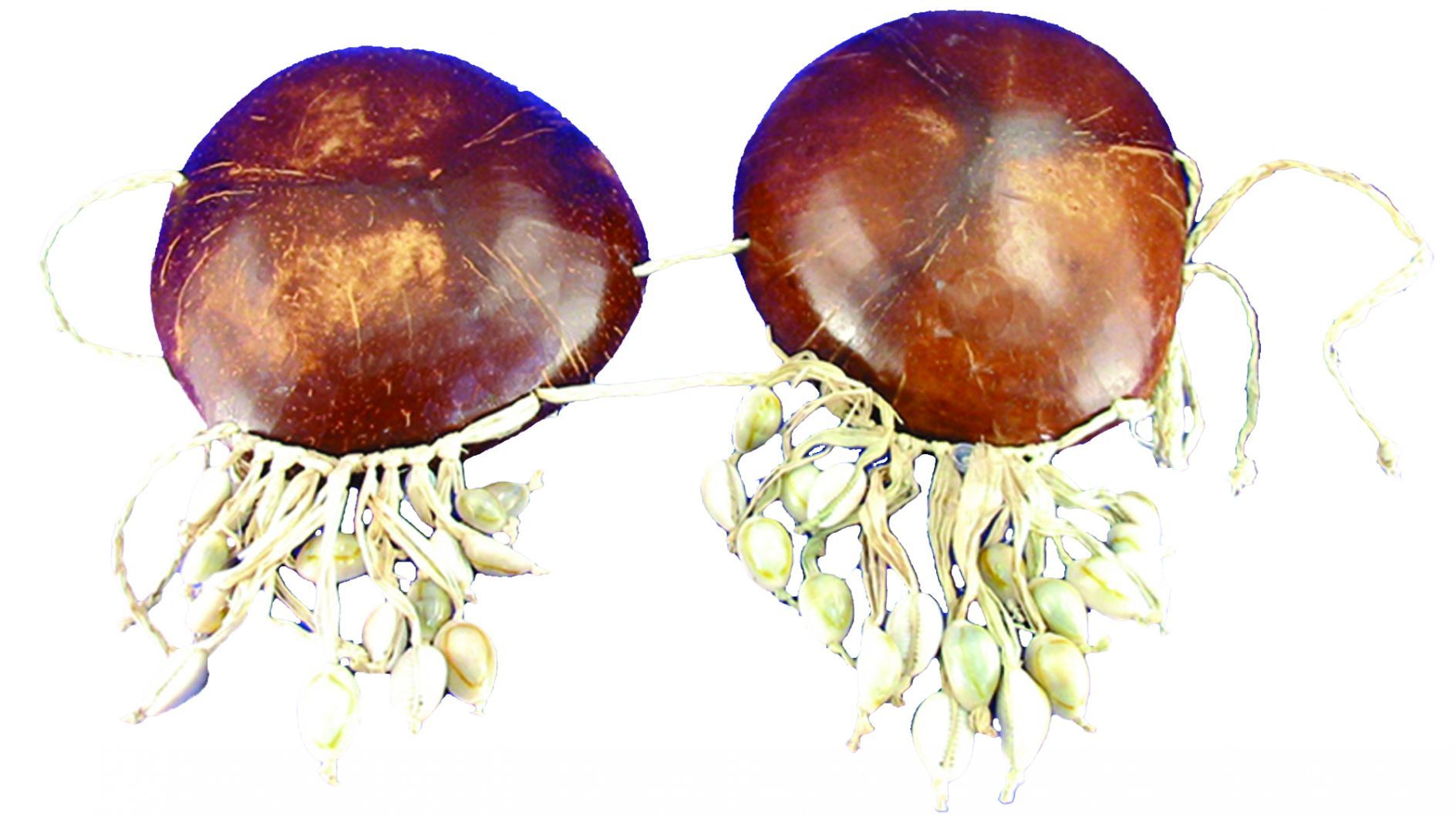 coconut-bikini-with-shells-costume-28.png
