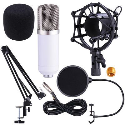 condenser-microphone-kit-studio-recording-pro-filter-boom-arm-stand-shock-mount-72.png